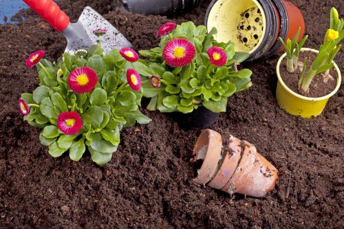 Gardening service terms and conditions overview