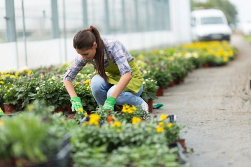 Healthy green lawn care in Seven Kings with neat edging