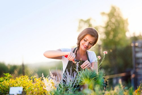 Gardeners Seven Kings introducing a well-kept outdoor space