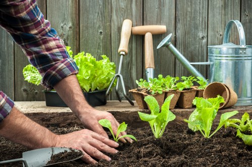 Seven Kings garden planting and seasonal care in an East London home