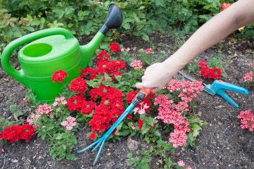 Illustration of cookie settings for Gardeners Seven Kings