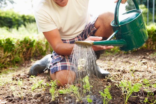 Gardener Seven Kings pricing overview for local garden services