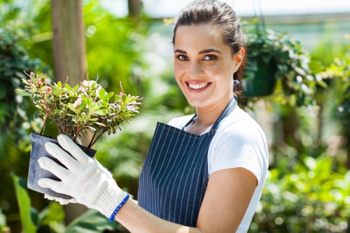 Garden clearance and patio cleaning for a Seven Kings property