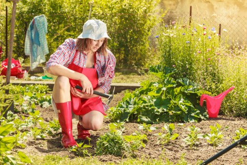 Balanced garden care and lawn upkeep in Seven Kings
