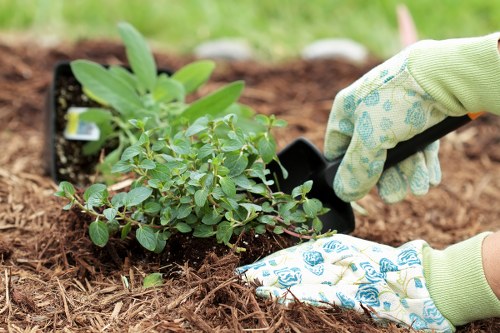 Liability and safety conditions for garden services