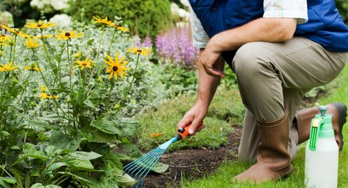 Neatly cut lawn in Seven Kings garden