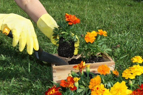 Garden maintenance in Seven Kings with tidy lawn and hedges