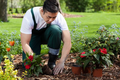 Seasonal planting and border maintenance in Seven Kings