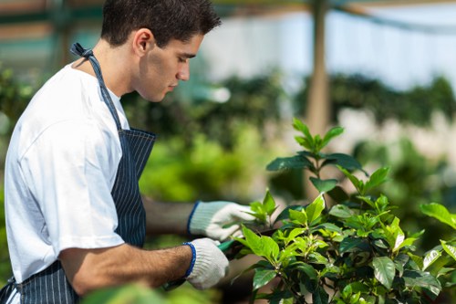 Professional garden care in Seven Kings creating a clean and healthy outdoor space