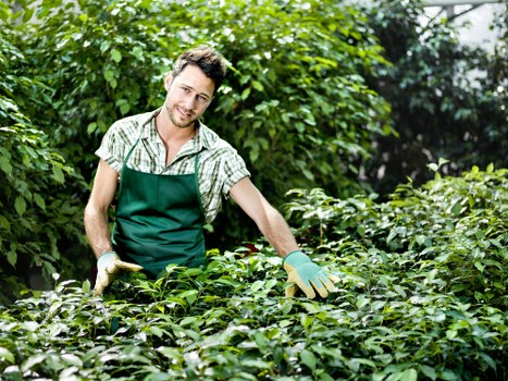 Insured Gardeners Seven Kings team working with care and PPE