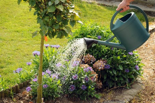 A tidy Seven Kings garden after clearance and waste removal