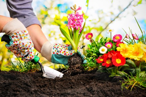 Seasonal garden maintenance tasks in Seven Kings