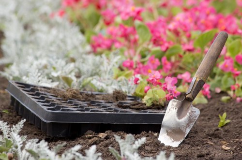 Local garden maintenance in Seven Kings with tidy planting and lawns