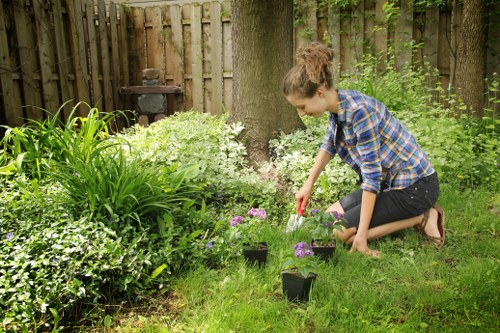 Low-maintenance garden design for landscaping in Seven Kings