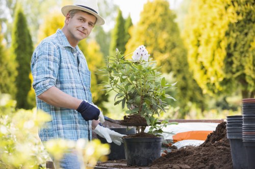 Middle stage of a gardener complaint resolution process