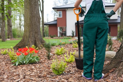 Professional lawn mowing service in Seven Kings