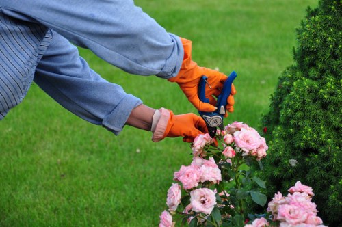 Weed control and leaf clearing in a Seven Kings garden